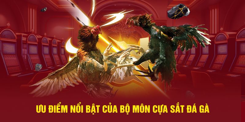 Ưu điểm nổi bật của bộ môn cựa sắt đá gà cựa sắt